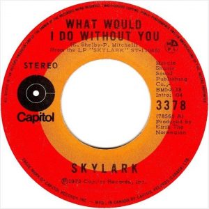 What Would I Do Without You by Skylark