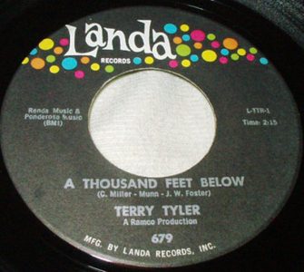 A Thousand Feet Below by Terry Tyler