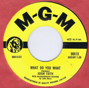 What Do You Want by Adam Faith