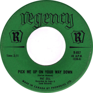 Pick Me Up On Your Way Down by Pat Zill