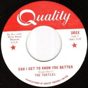 Turtles - Can I Get To Know You Better 45 (Quality)