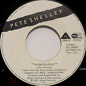 Homosapien by Pete Shelley