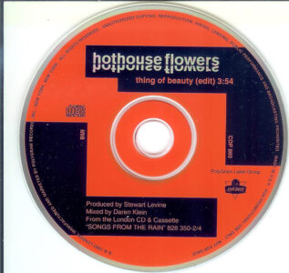 Thing Of Beauty by Hothouse Flowers