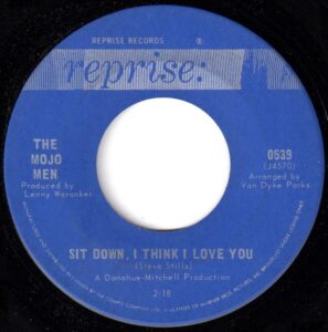 Sit Down I Think I Love You by the Mojo Men