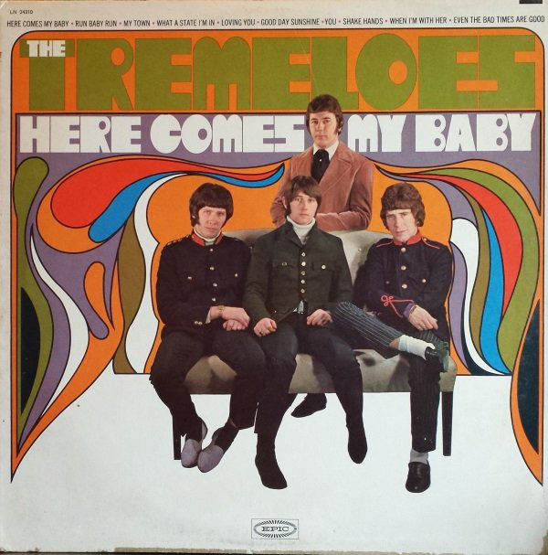 Here Comes My Baby by the Tremeloes
