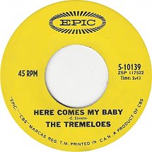 Here Comes My Baby by the Tremeloes