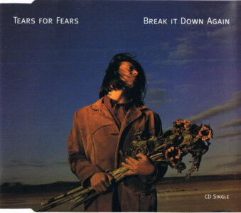 Break It Down Again by Tears For Fears