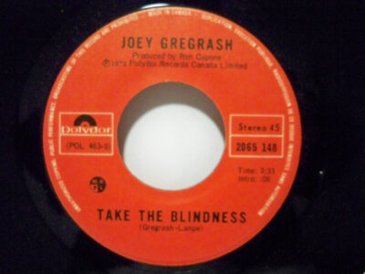 Take The Blindness by Joey Gregorash