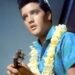 Blue Hawaii/Moonlight Swim by Elvis Presley