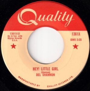 Del Shannon - Hey Little Girl 45 (Quality) (2)