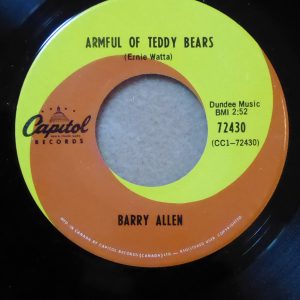 Armful Of Teddy Bears by Barry Allen