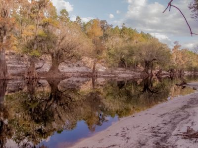 Swanee River Rock by Ray Charles