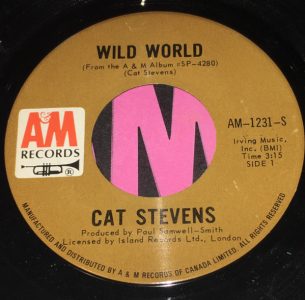 Wild World by Cat Stevens