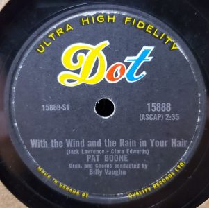 With The Wind and the Rain in Your Hair by Pat Boone