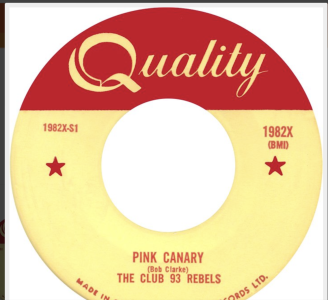 Pink Canary by the Club 93 Rebels