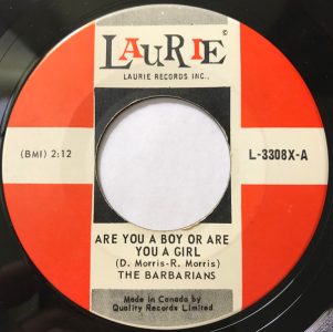 Are You A Boy Or Are You A Girl by the Barbarians