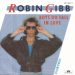 Boys Do Fall In Love by Robin Gibb