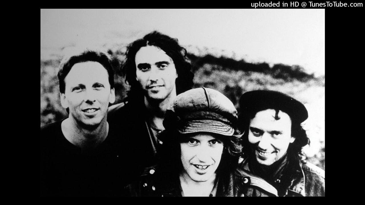 The Whole Of The Moon by the Waterboys