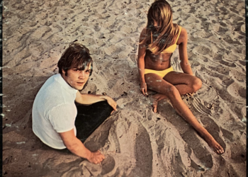 Stay and Love Me All Summer by Brian Hyland