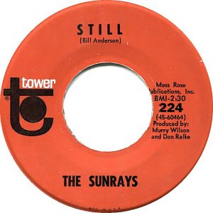 Still by the Sunrays