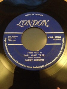 There Was A Tall Oak Tree by Dorsey Burnette There Was A Tall Oak Tree by Dorsey Burnette