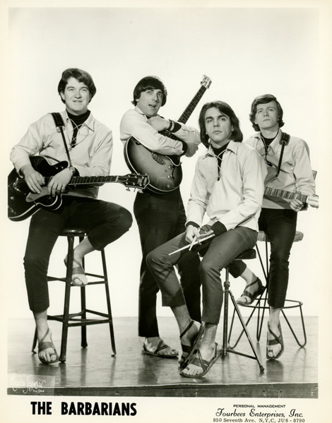 Are You A Boy Or Are You A Girl by the Barbarians