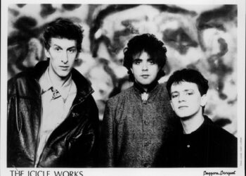 Birds Fly (Whisper To A Scream) by Icicle Works