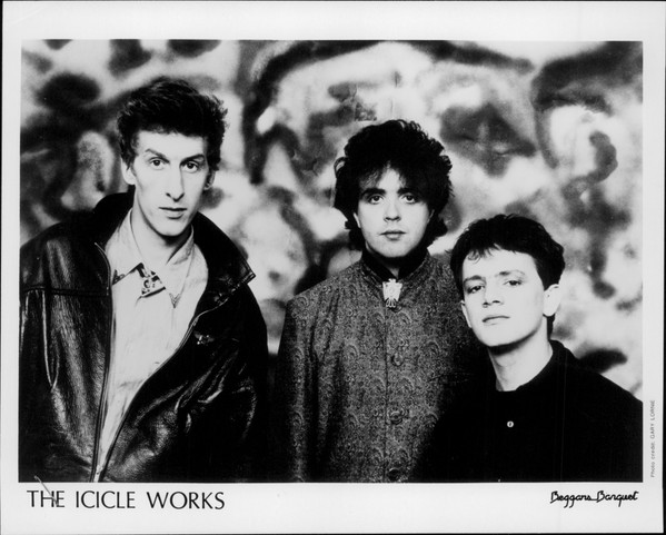 Birds Fly (Whisper To A Scream) by Icicle Works